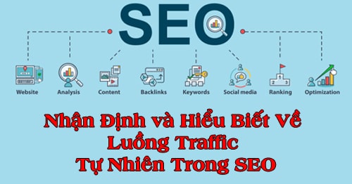 nhan-dinh-va-hieu-biet-ve-luong-traffic-tu-nhien-trong-seo